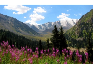 Природа таджикистана фото