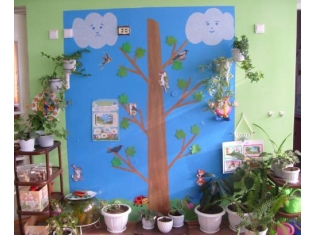Картинки для уголка природы в детском саду