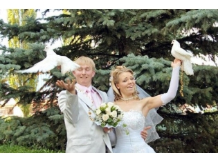 Прикольные фото свадьбы