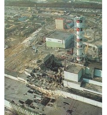 Чернобыль фото людей и животных
