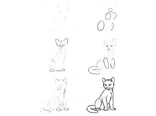 Картинки животных карандашом для срисовки
