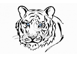 Картинки животных тигров