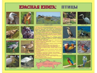 Красная книга животные фото с названиями животных