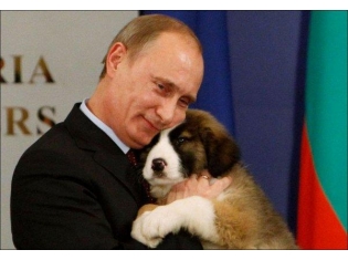 Путин приколы фото