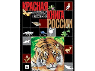 Какие животные в красной книге россии фото