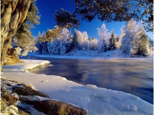 Картинки пейзажей природы зима