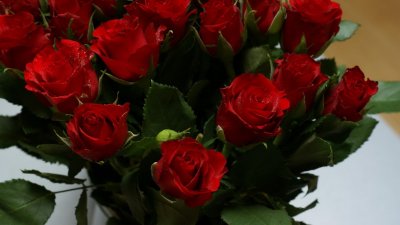 Букет красных роз на рабочий стол