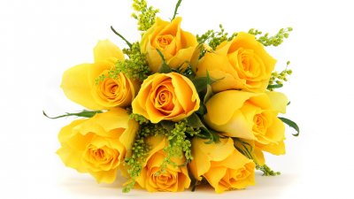 Букет желтых роз на рабочий стол