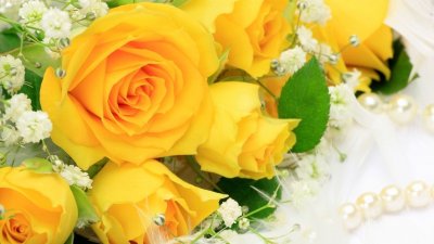 Букет желтых роз на рабочий стол