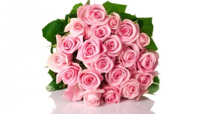 Розовые розы для рабочего стола 