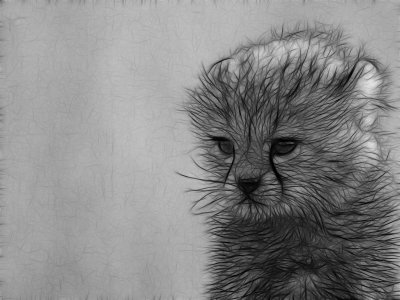 Рисунки карандашом для срисовки животных