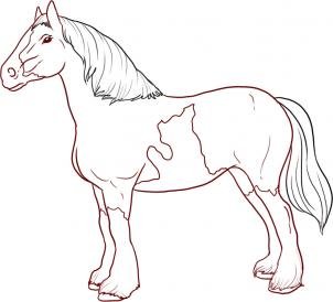 Как нарисовать коня карандашом поэтапно