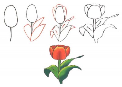 Как рисовать цветы поэтапно
