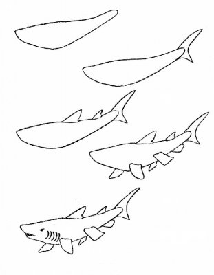 Как нарисовать морских обитателей поэтапно