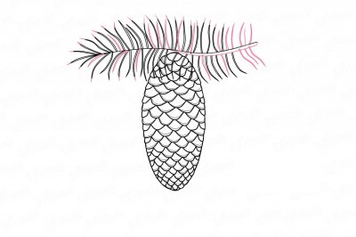 Как нарисовать еловую ветку с шишкой