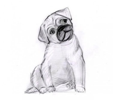 Как нарисовать щенка карандашом поэтапно